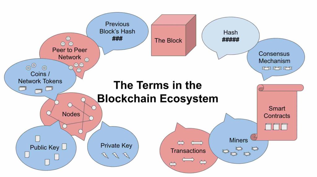 Blockchain Basics: A Beginner’s Guide to Decoding the Tech Craze