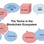 Blockchain Basics: A Beginner’s Guide to Decoding the Tech Craze