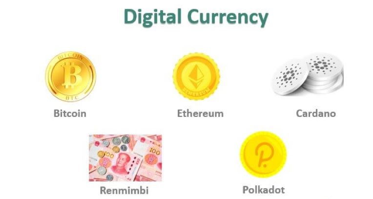 Verification Processes on Crypto Exchanges: Your Gateway to Secure Trading