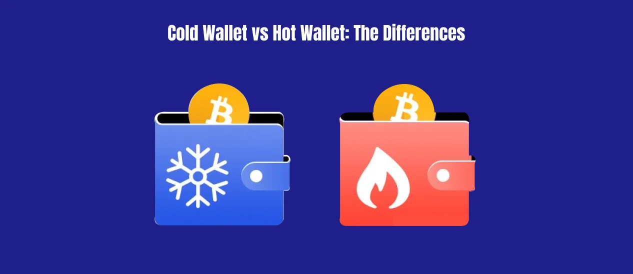 Hot vs. Cold Wallets