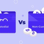 Custodial vs Non-Custodial Wallets