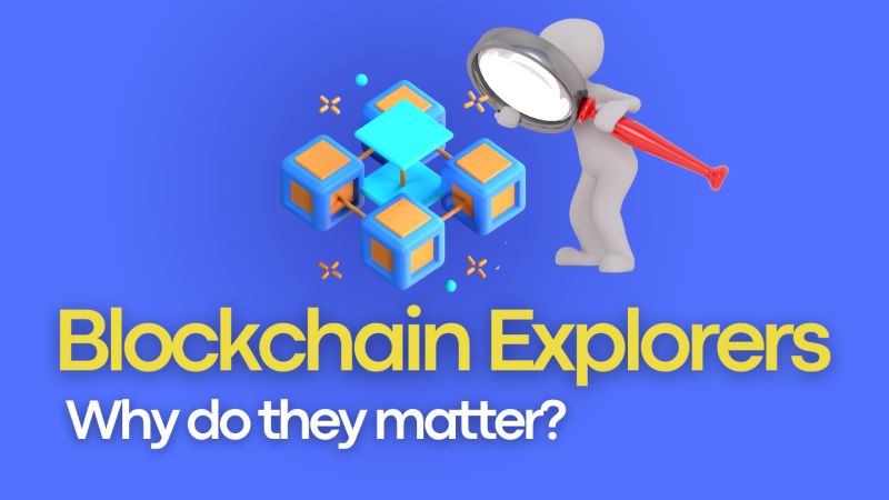 Blockchain Explorers