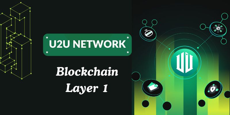 Overview of Blockchain Layer 1