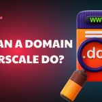 What can a Domain in Everscale do?