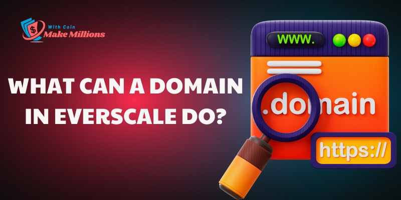 What can a Domain in Everscale do?