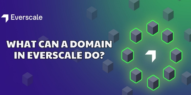 What can a Domain in Everscale do?